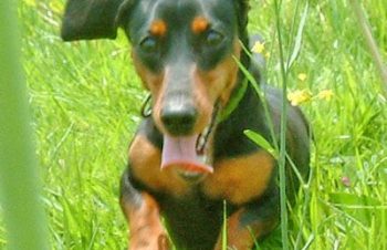 トリニティさんから商品が届いてた。nシリコンストラップの感触が気持ちよい。端子部分もロック機構が付いていて安心。n見た目も可愛いし納得の品質。こんなの欲しかったんだよね(^^)n[Micro-USB Port Strap｜Trinity]nhttp://bit.ly/WwQ4sr 