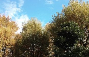 アカンボの安全対策として CableBox Min を購入。これいいねー！タップごと収納できるからいたずらを防げるし、両サイドからケーブルを出せるからすっきり配置できる！どこの商品かと思ったらトリニティでした。さすが。