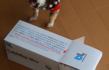 小さなケーブルボックス？ : ここちと（旧・わが家のチワわ）