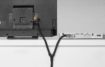 コラム／ブームの卵