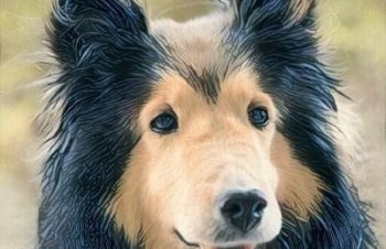 nuans colonyが、機能も見た目もめっちゃ良い。これが3000円て破格すぎる。材質もこだわってるし、この価格で利益出るんだろうか、、、。デバイスの定位置ができた上に机の上がすっきりした。早く買えばよかった。https://t.co/72nNTTB6rl