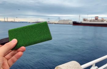 #山下公園 #横浜#NuAnsシバフルコラボ#NuAns #Shibaful