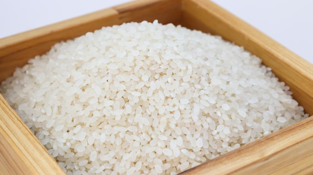 Rice-3997767_1920.jpg