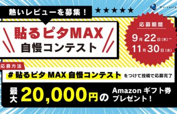 貼るピタMAX自慢コンテスト｜文芸(記事・ブログ・投稿)