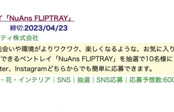 ペントレイ「NuAns FLIPTRAY」