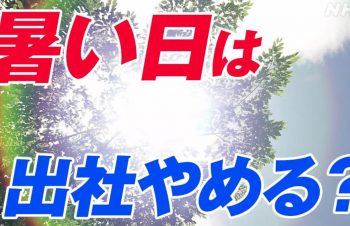 働く人を熱中症からどう守る？ 企業の対策は 暑さ指数33以上でリモートワークも 動物園はセンサー設置 | NHK | ビジネス特集 | 熱中症