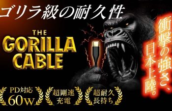 トリニティ、断線しづらい屈強なUSB-Cケーブル「Gorillaケーブル C to C 60W」 (2025年6月20日)