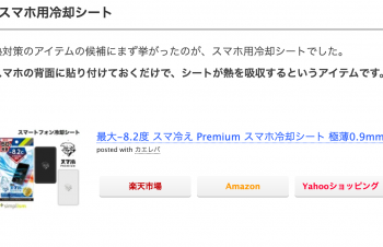【スマホ】熱対策に購入したアイテム