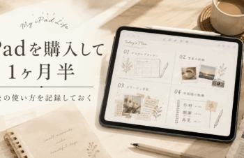 iPadを購入して1ヶ月半｜いまの使い方を記録しておく